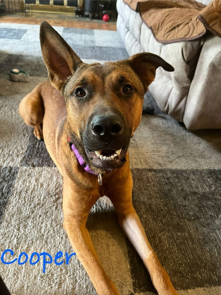 Cooper