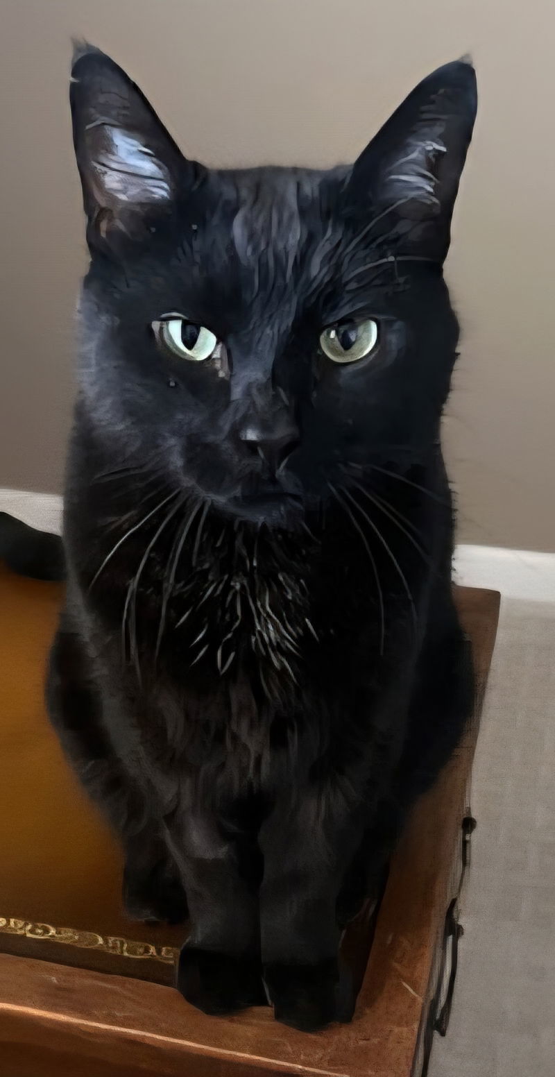 Beetal