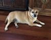 Buddy photo 1
