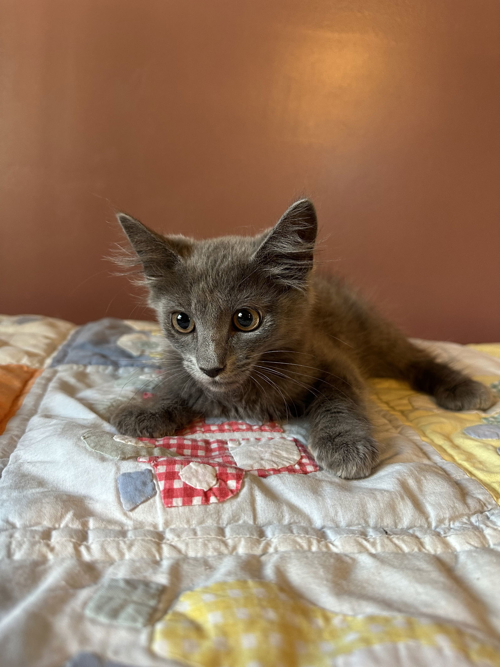 Atticus