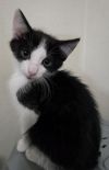 Sully photo 1