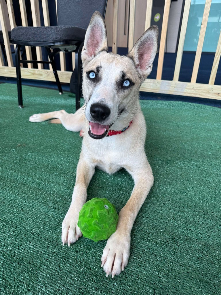 Bessie Mae