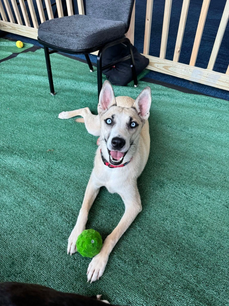 Bessie Mae