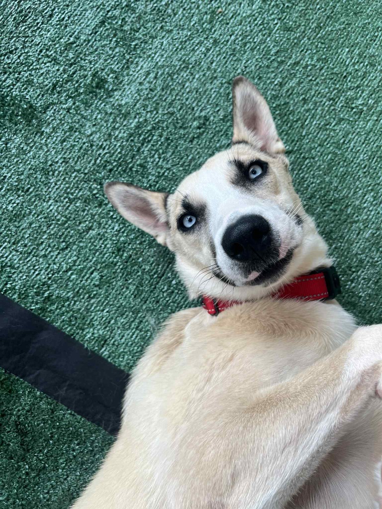 Bessie Mae