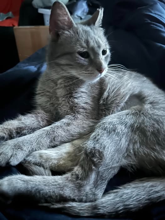 Ella aka Squeaky