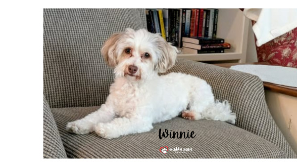 Winnie