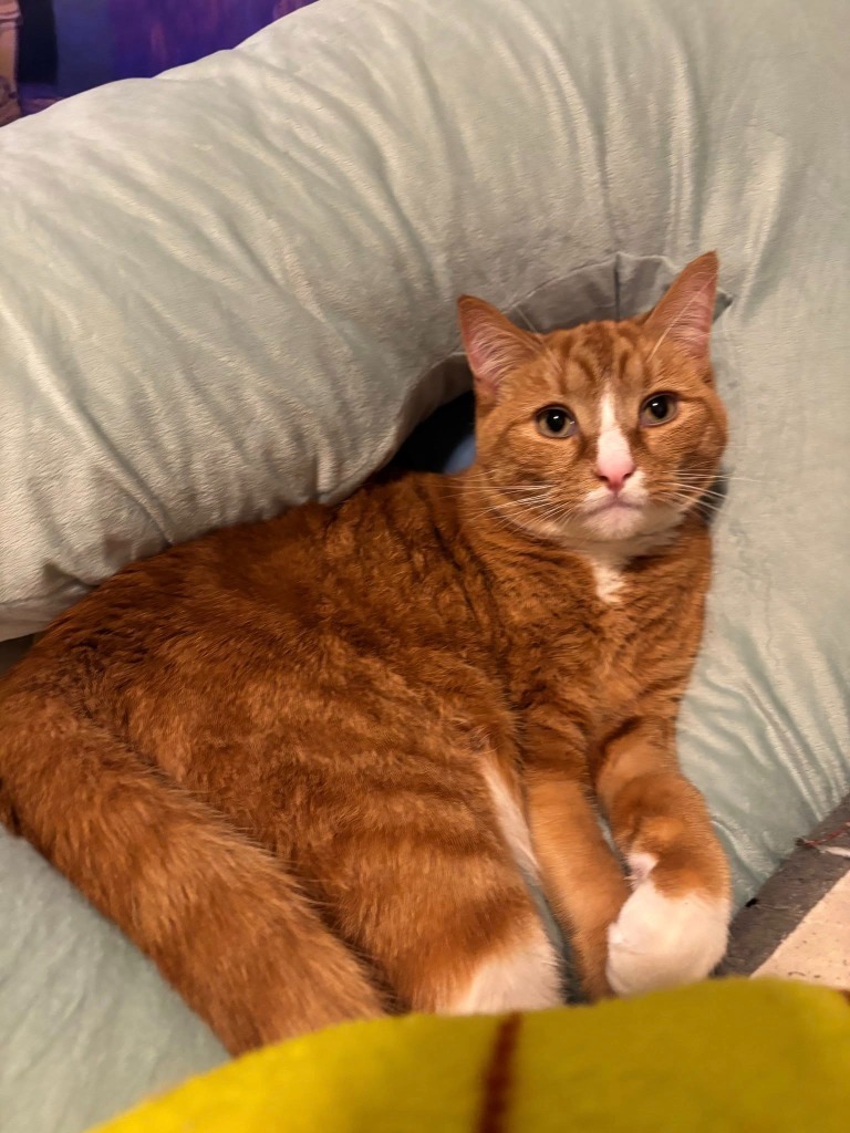 Leo
