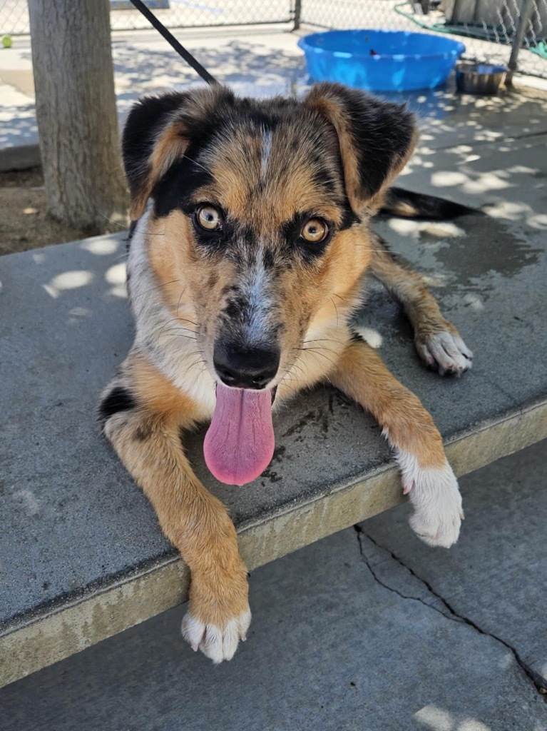 Janie