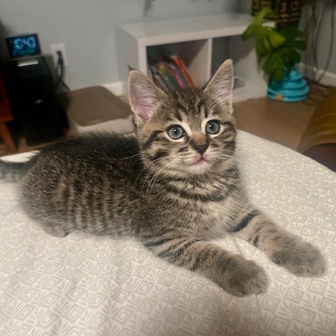 Marty