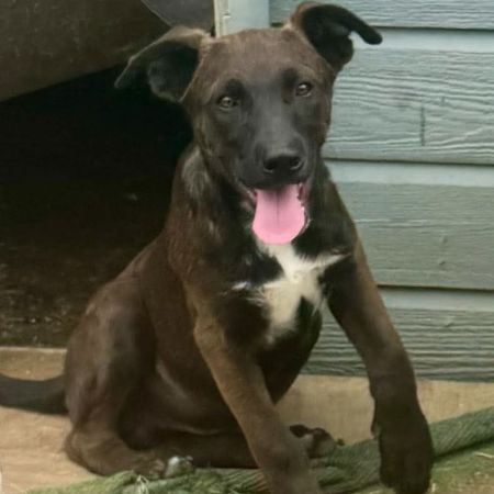 Barry B Benson photo