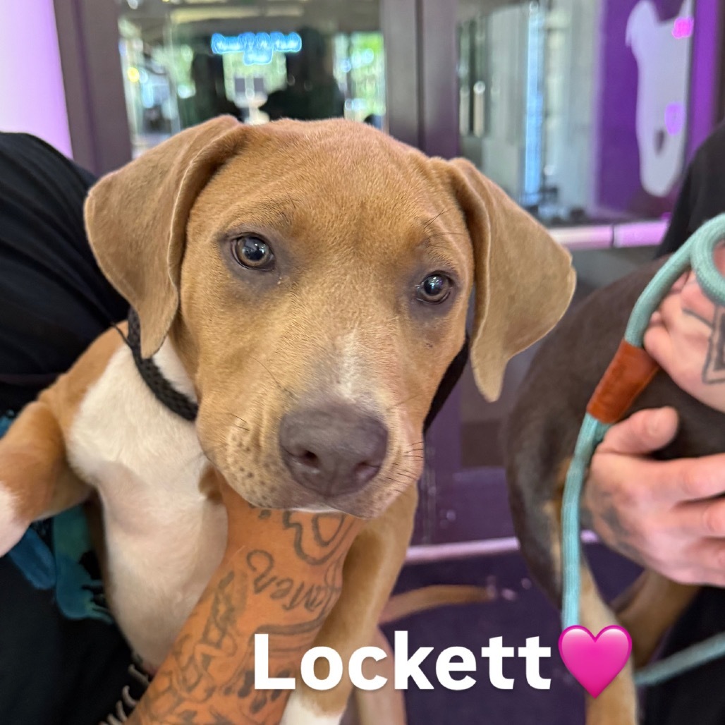 Lockett