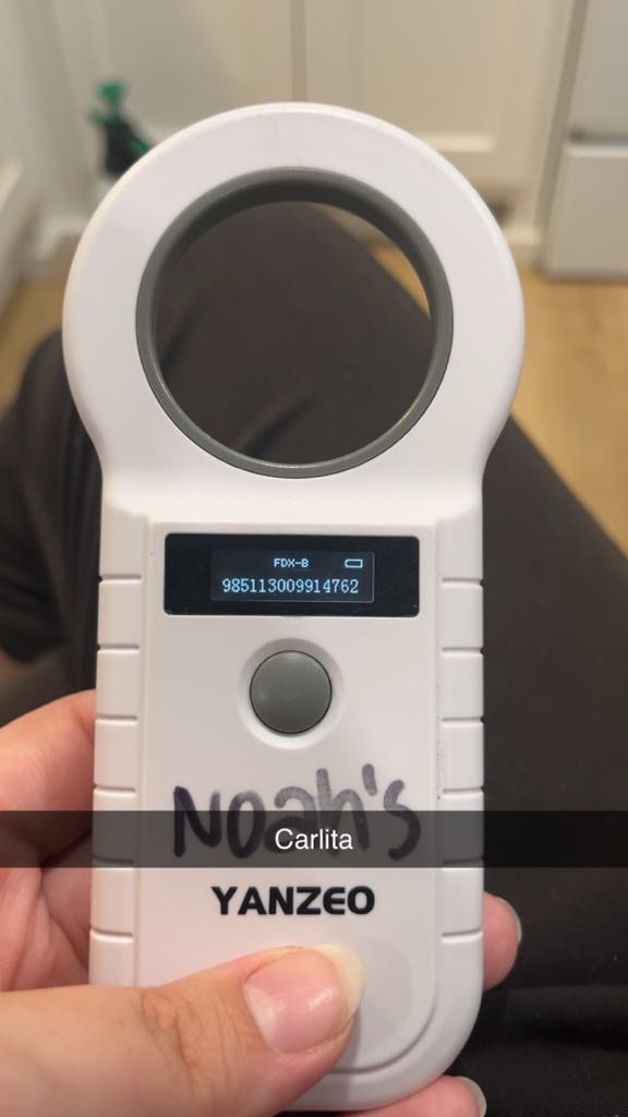 Carlita