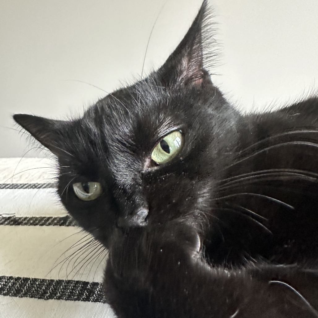 Sumi