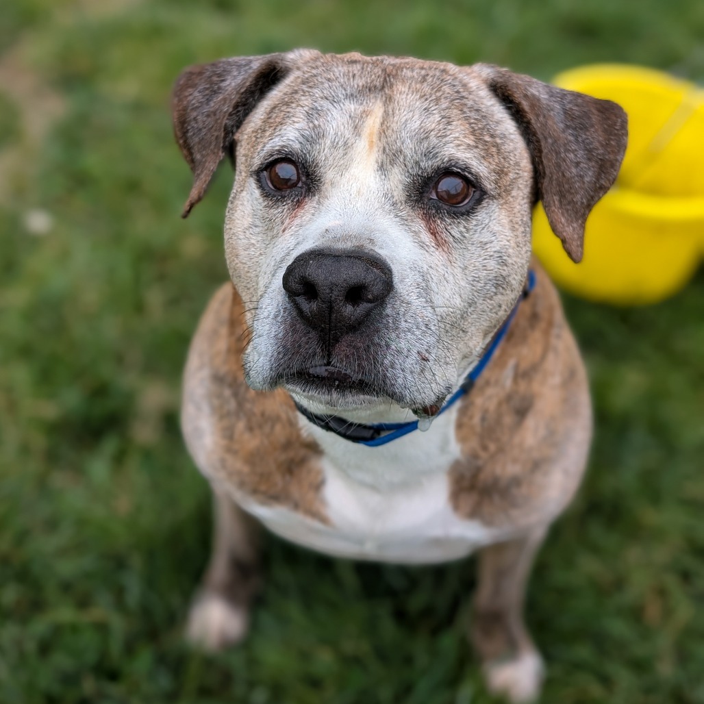 Jax