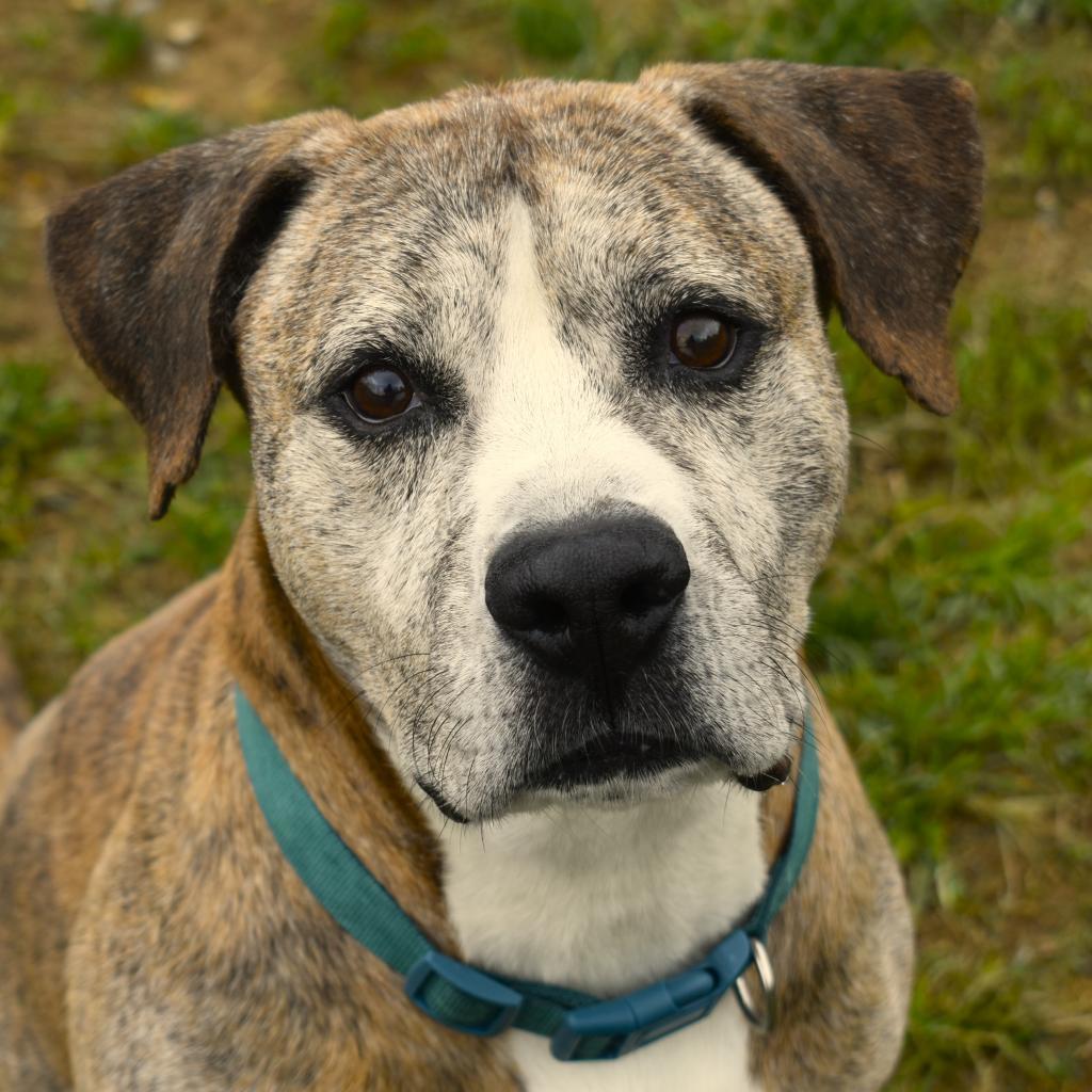 Jax