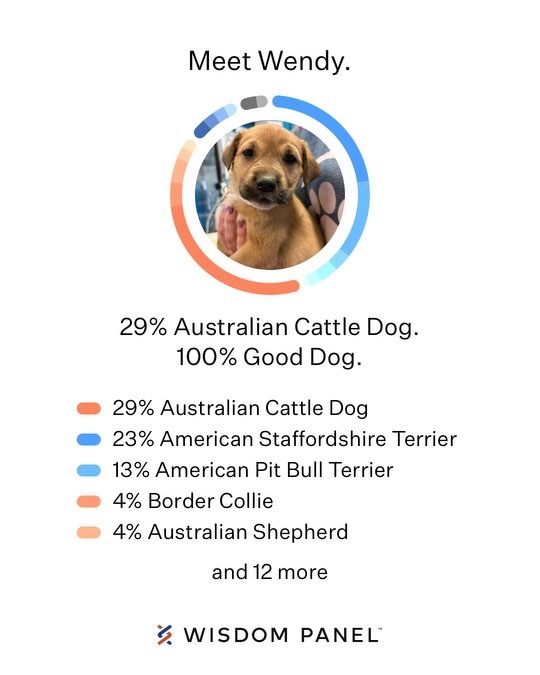 Domino's