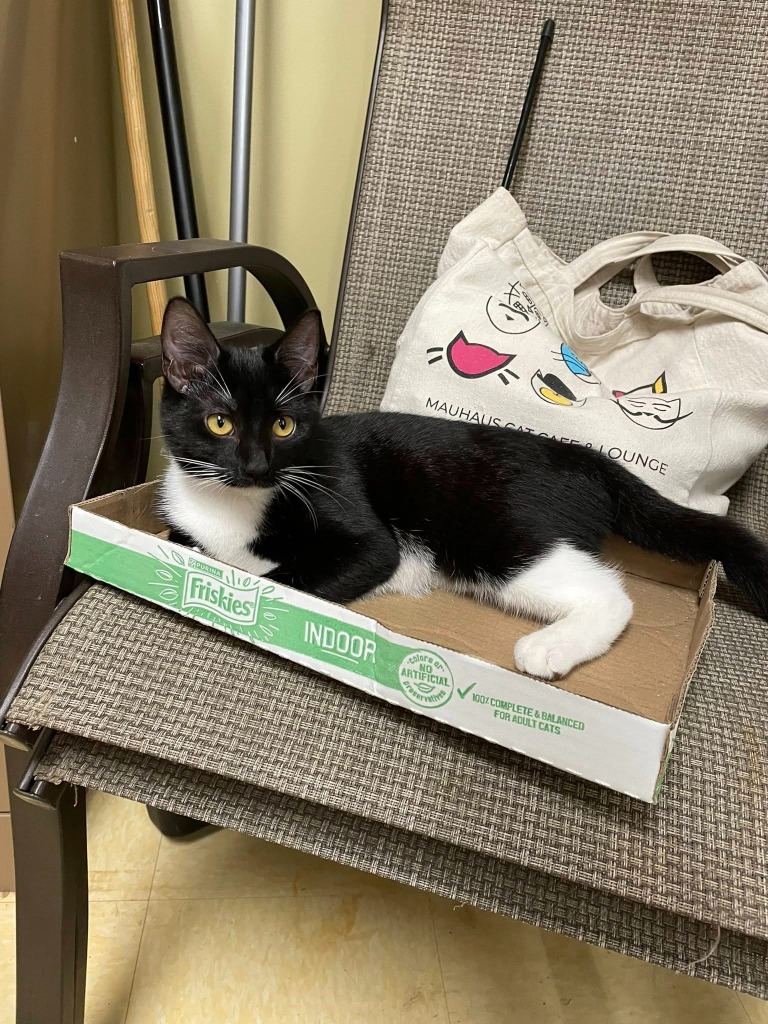 Tammy (Bonded with Kenny)