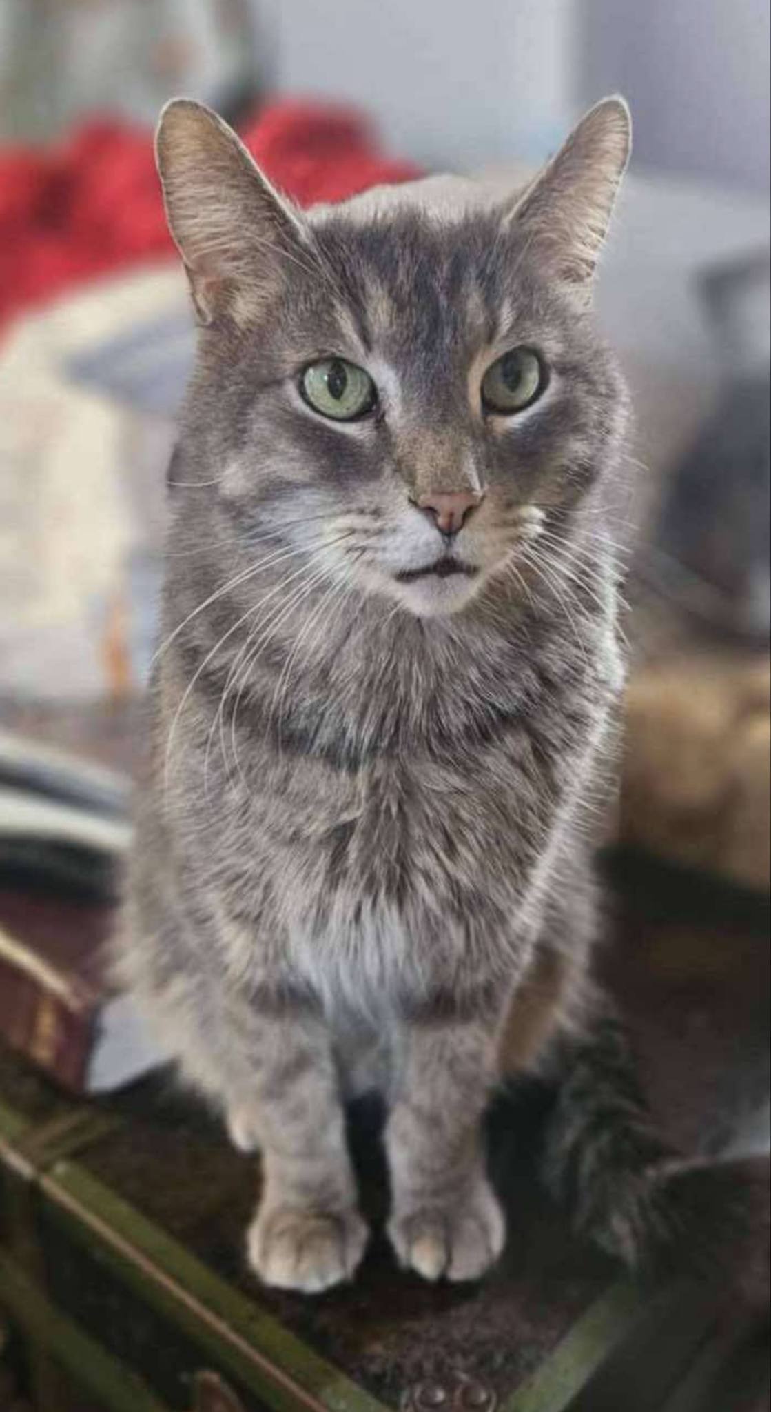 Charlie
