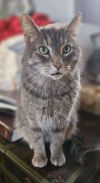 Charlie photo 1