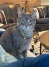 Charlie photo 3