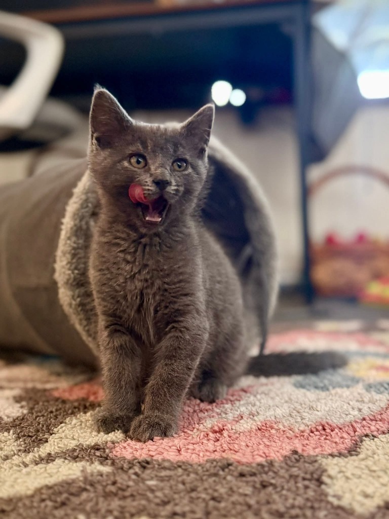 Tom