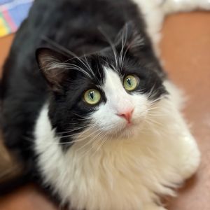 Hi there My name is Rango and Im at the Santa Maria Campus Im a 2 year 10 mo