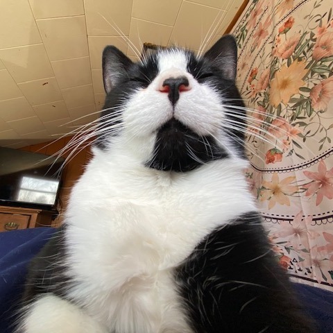 Jasper