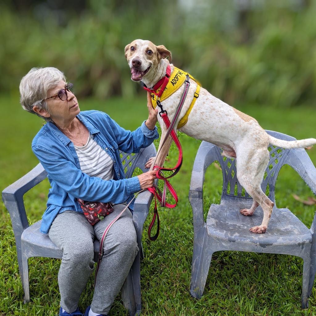 Flint, an adoptable Mixed Breed in Volcano, HI, 96785 | Photo Image 4