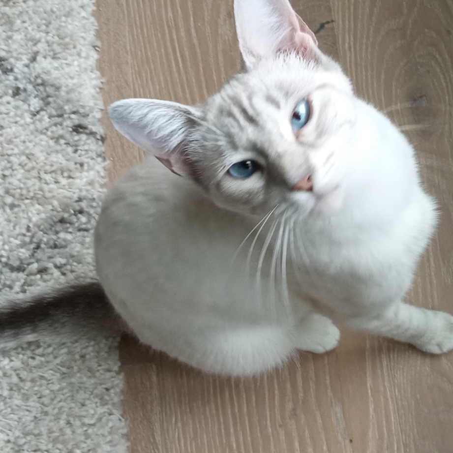 Maggie