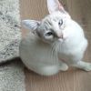 Maggie photo 1