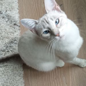 Maggie, Young Female unknown