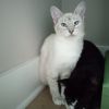 Maggie photo 2