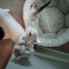 Maggie photo 3