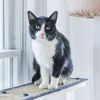 Patches photo 2