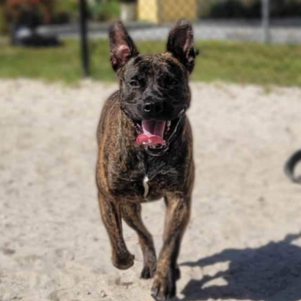 Bella