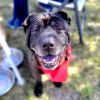 Jack photo 3