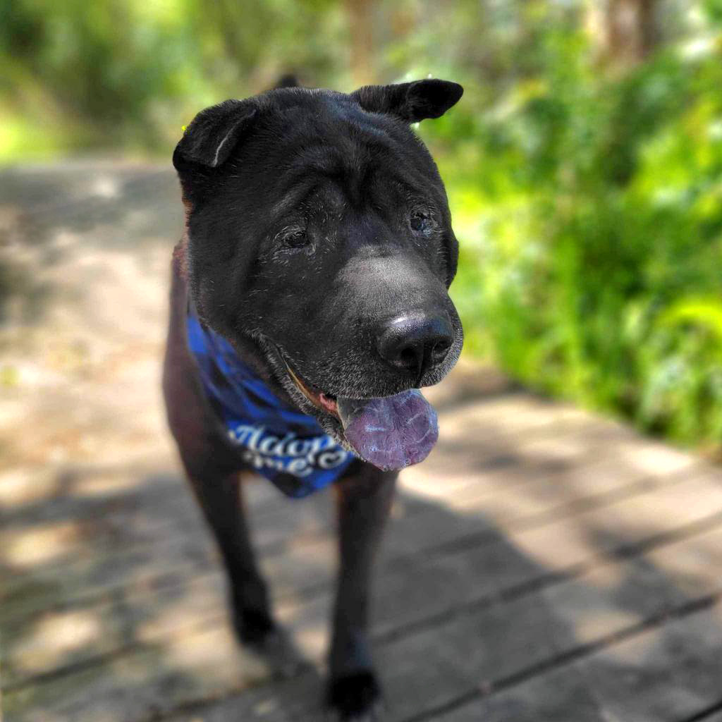 Jack