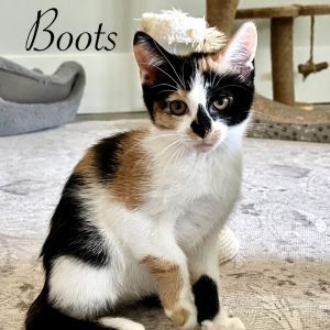 Boots, Baby Female unknown