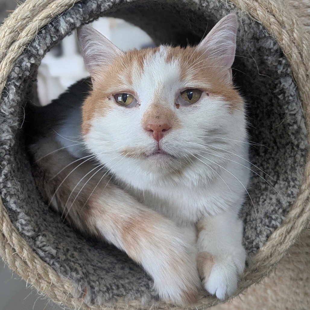 Fiona