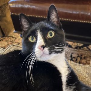 Monty Glassman, Senior Male unknown