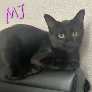 MJ, Baby Female unknown