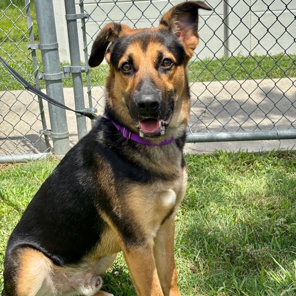 Dex