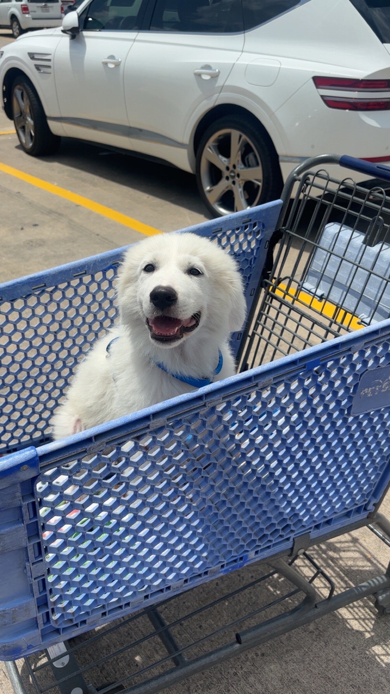 Jake HTX