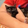 Nala A25-107 photo 2
