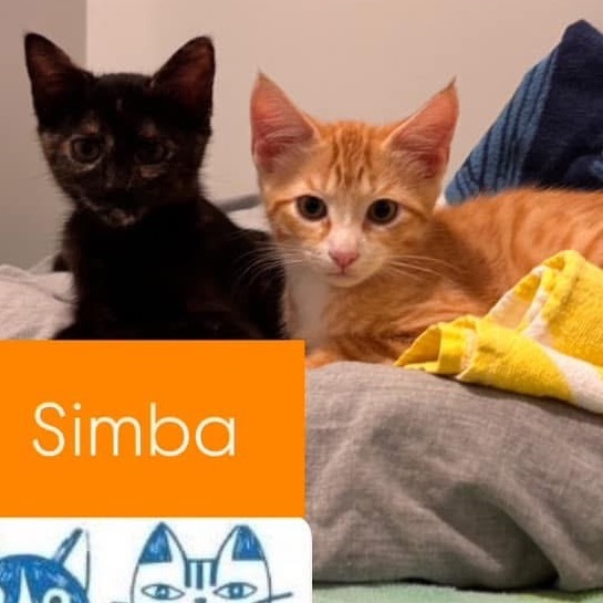 Simba A25-106