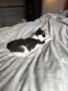 Bob photo 3