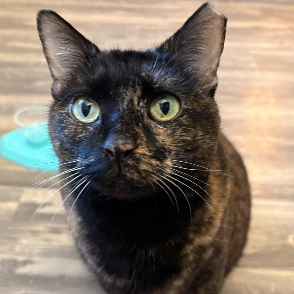 Fiona