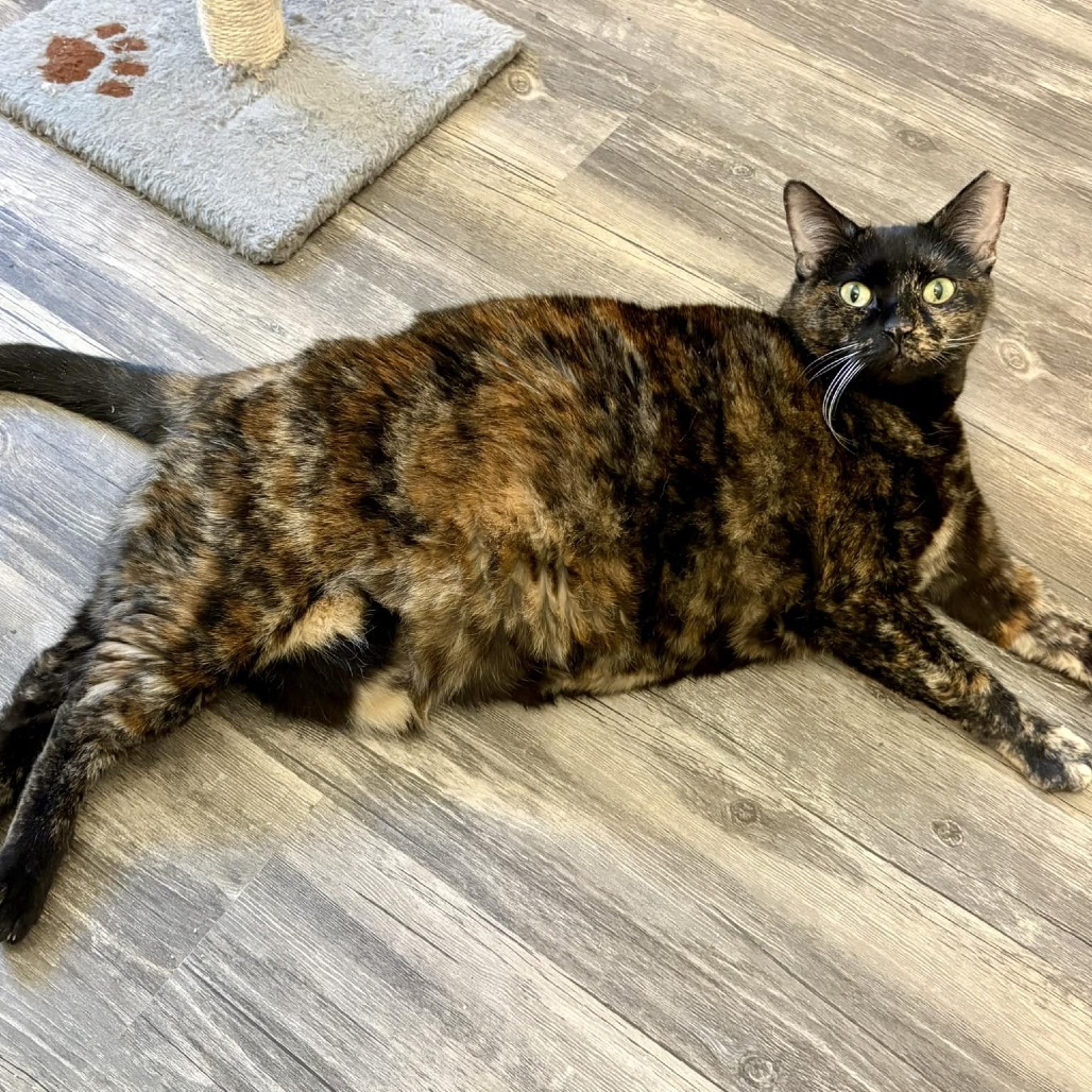 Fiona