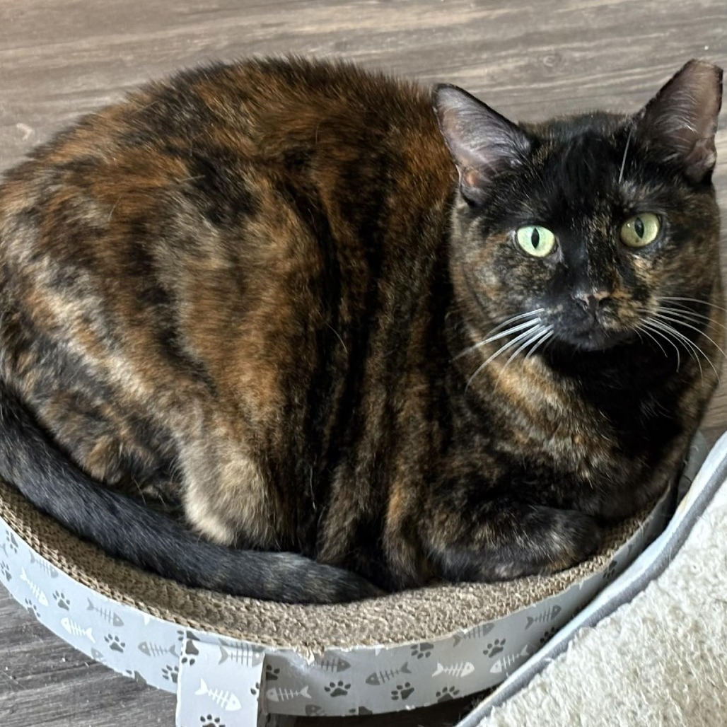 Fiona