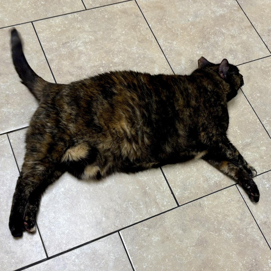 Fiona